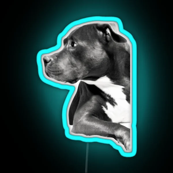 Pitbull RGB Neon Sign