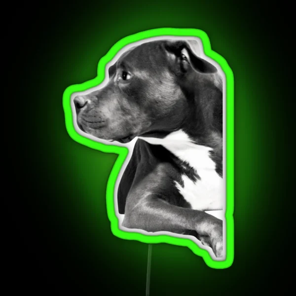 Pitbull RGB Neon Sign