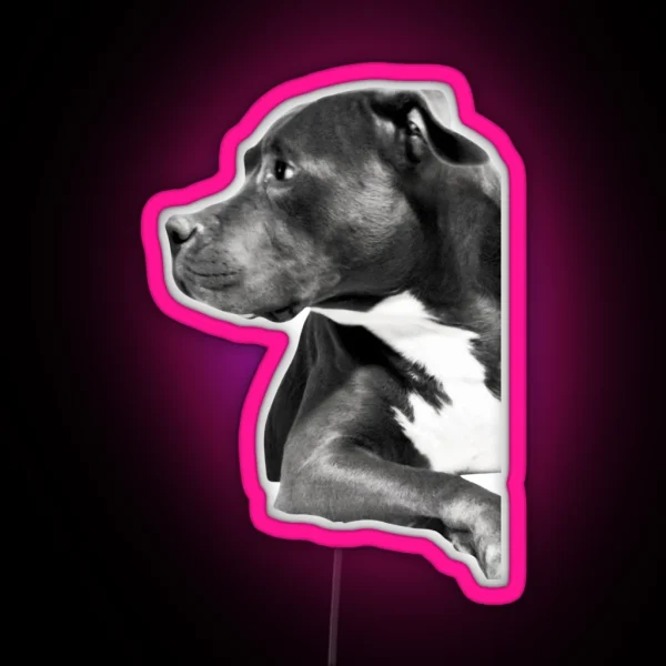 Pitbull RGB Neon Sign