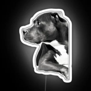 Pitbull RGB Neon Sign
