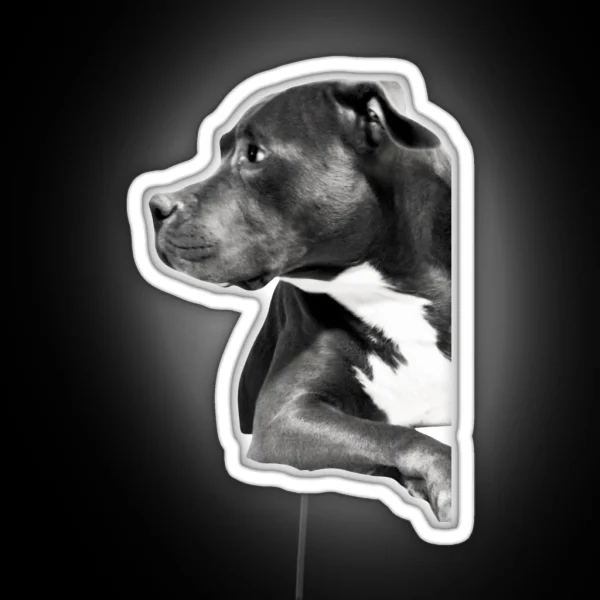 Pitbull RGB Neon Sign