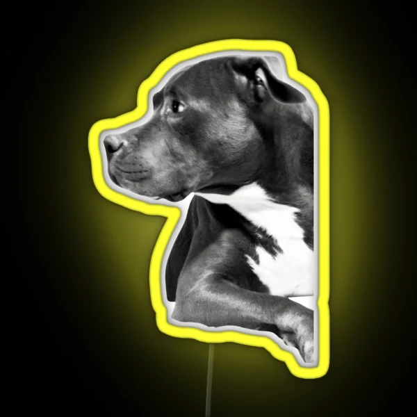 Pitbull RGB Neon Sign