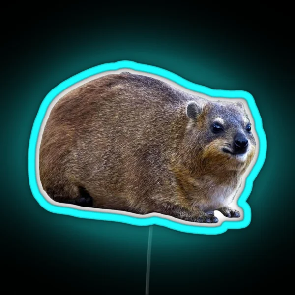 Plain Rock Hyrax RGB Neon Sign