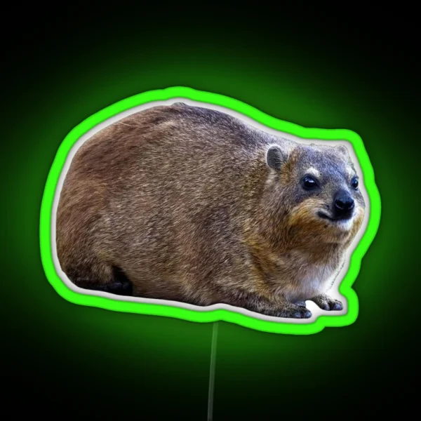 Plain Rock Hyrax RGB Neon Sign