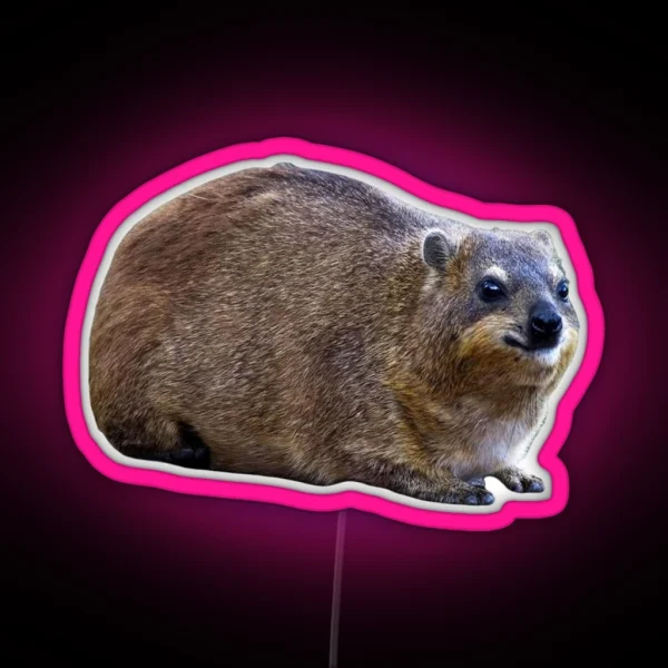 Plain Rock Hyrax RGB Neon Sign