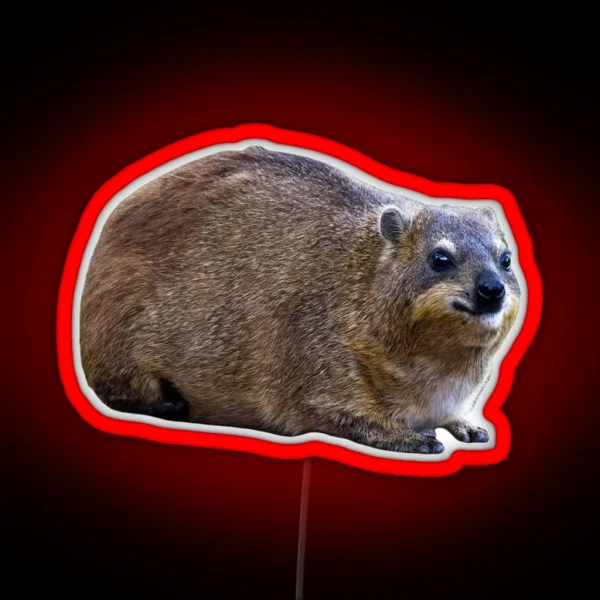 Plain Rock Hyrax RGB Neon Sign