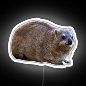 Plain Rock Hyrax RGB Neon Sign