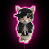 Customizable RGB neon sign with vibrant colors and playboi kitty design.