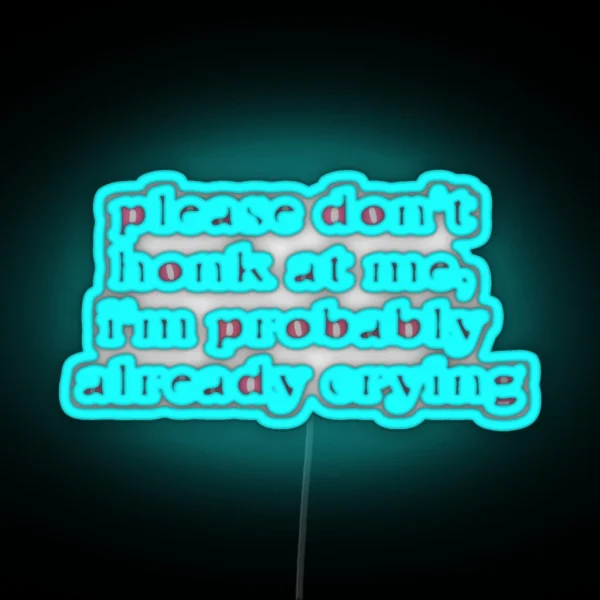 Please Don T Honk At Me I M Probably Already Crying RGB Neon Sign