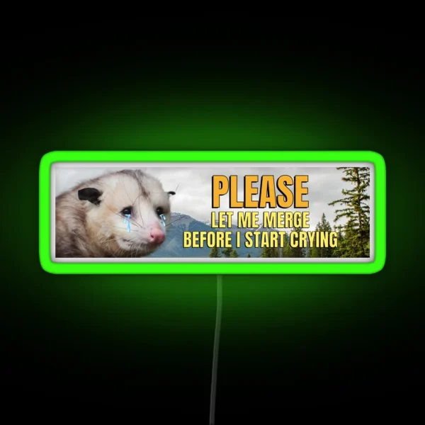 Please Let Me Merge Before I Start Crying Possum Bumper RGB Neon Sign
