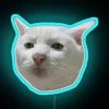 Brighten up any room with colorful Polite Cat Neon Sign