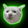 Polite Feline Companion RGB Neon Sign for Whimsical Home Decor Enthusiasts