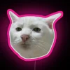 Whimsical Polite Feline Illuminated Character in Neon RGB Display