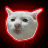 Whimsical polite feline neon sign in colorful RGB lighting