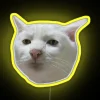 Colorful Polite Cat RGB Neon Sign for Home Decor Space