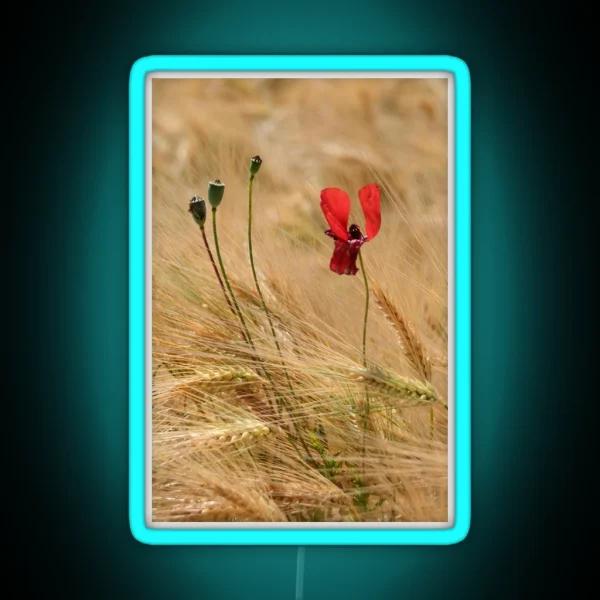 Poppy And Barley RGB Neon Sign
