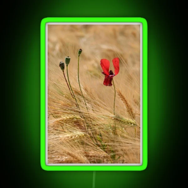 Poppy And Barley RGB Neon Sign