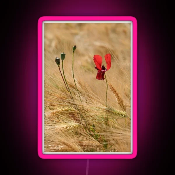 Poppy And Barley RGB Neon Sign