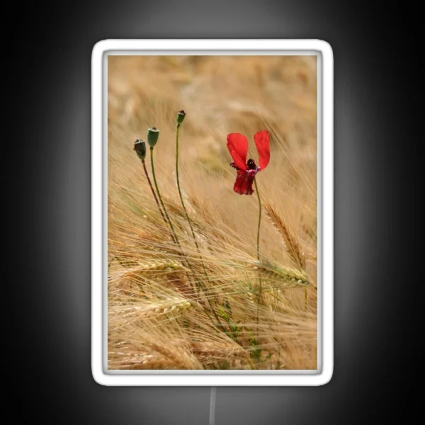 Poppy And Barley RGB Neon Sign