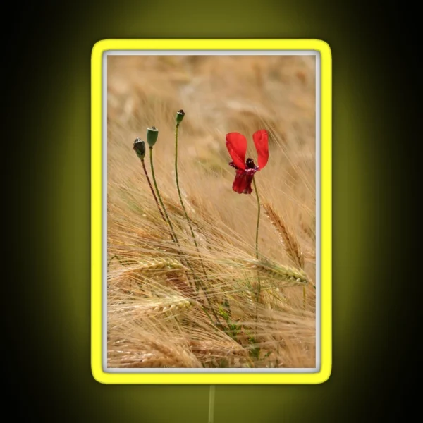 Poppy And Barley RGB Neon Sign