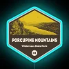 Porcupine Mountains Wilderness State Park Michigan Official Neon Sign Distressed Finish