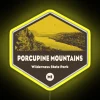 Unique LED Signs Illuminating Adventure in Porcupine Mountains Wilderness Michigan