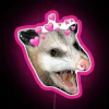 Vibrant colorful possum themed RGB neon art wall decor lighting