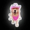 RGB LED pet dog neon sign decoration with preppy design