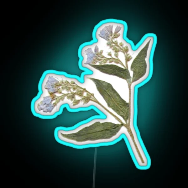 Pressed Dried Comfrey Flower RGB Neon Sign