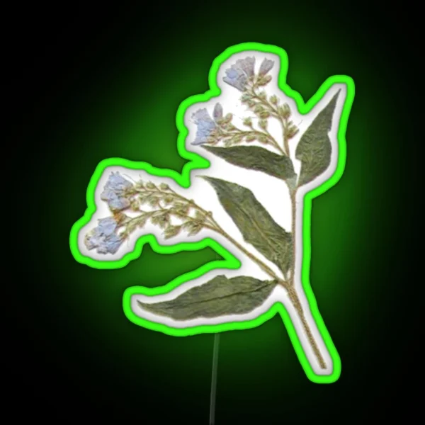 Pressed Dried Comfrey Flower RGB Neon Sign