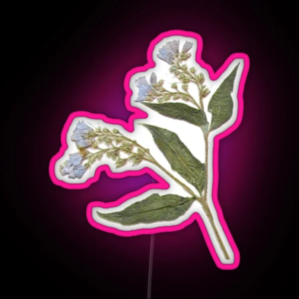 Pressed Dried Comfrey Flower RGB Neon Sign