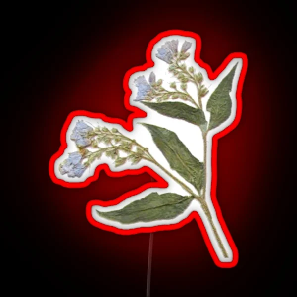 Pressed Dried Comfrey Flower RGB Neon Sign