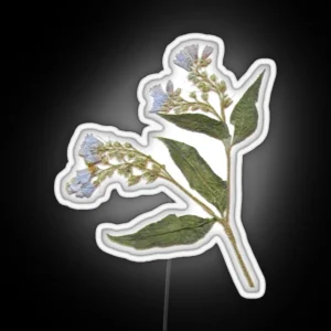 Pressed Dried Comfrey Flower RGB Neon Sign