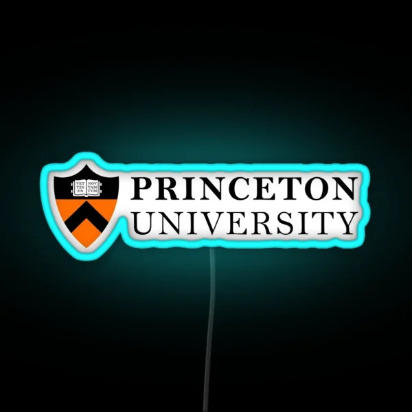 Princeton University RGB Neon Sign