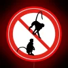 Prohibited behavior, no acting like a monkey in public.