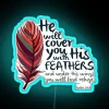 Shining Scripture: 'He shall cover you with His feathers' - Psalm 91