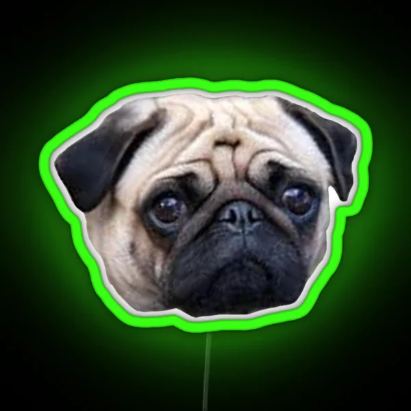 Pug RGB Neon Sign
