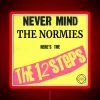 Rebel Recovery: Humorous Punk Rock Take on 12 Steps of NA/AA