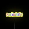 Dream big with vibrant customizable color changing LED neon lighting