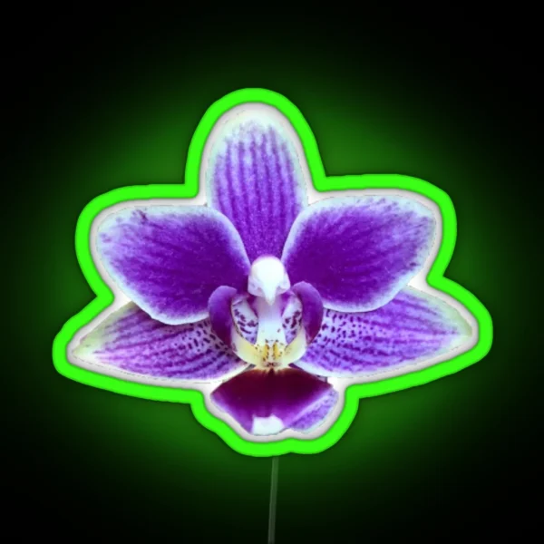 Purple Orchid RGB Neon Sign