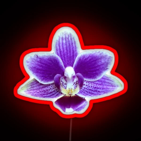 Purple Orchid RGB Neon Sign
