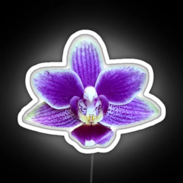 Purple Orchid RGB Neon Sign