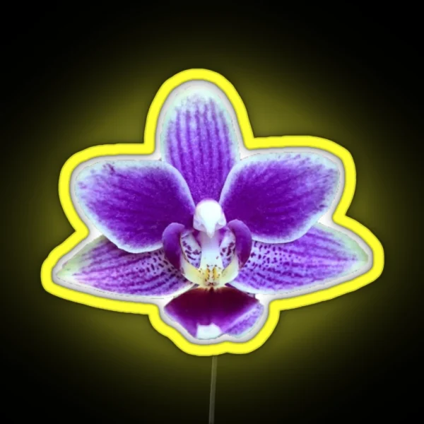 Purple Orchid RGB Neon Sign