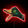 Glowing quack callouts in vibrant color-changing RGB LED signage design
