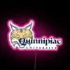 Quinnipiac University official NCAA sports team RGB neon LED sign