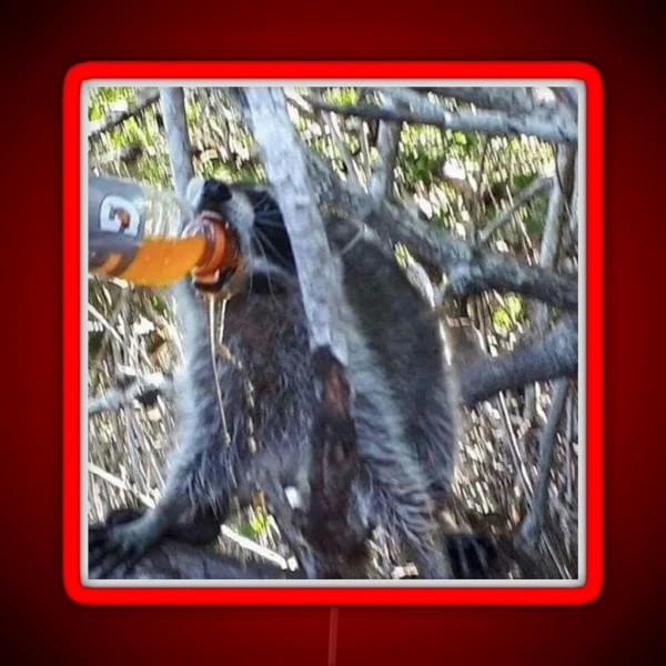 Raccoon Chugs Orange Sports Drink Led RGB Neon Sign