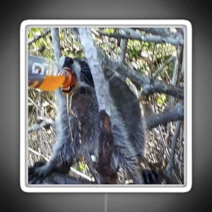 Raccoon Chugs Orange Sports Drink Led RGB Neon Sign