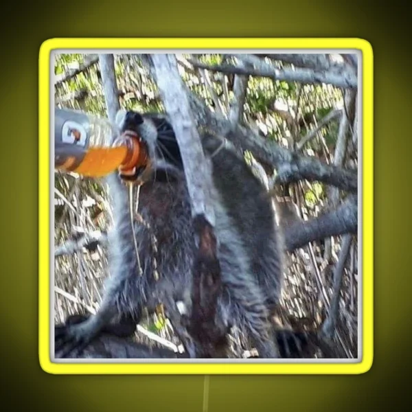 Raccoon Chugs Orange Sports Drink Led RGB Neon Sign