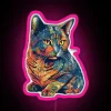 Vibrant Rainbow Colored Feline Design 32x16 LED Light Sign