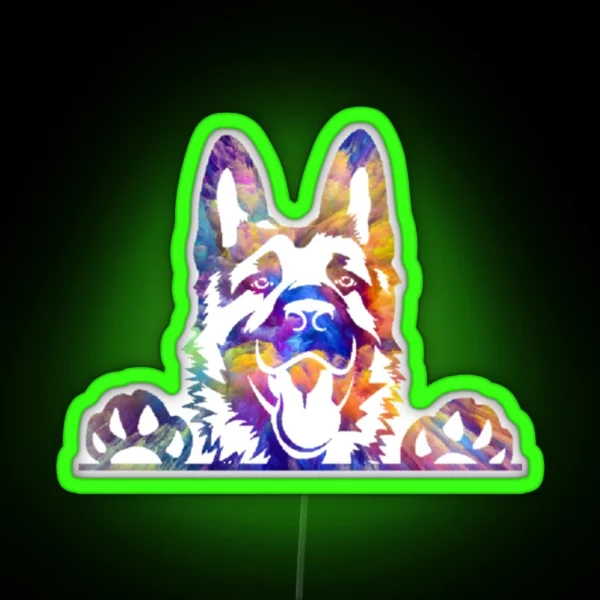 Rainbow GSD RGB Neon Sign